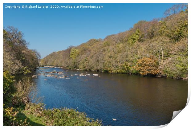 The River Tees from Boot and Shoe Cottage Wycliffe Print by Richard Laidler