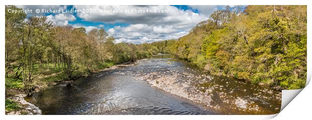 Spring Panorama on the River Tees at Whorlton  Print by Richard Laidler