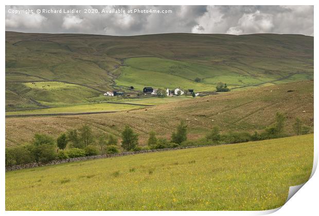 Marshes Gill Farm, Harwood, Upper Teesdale Print by Richard Laidler