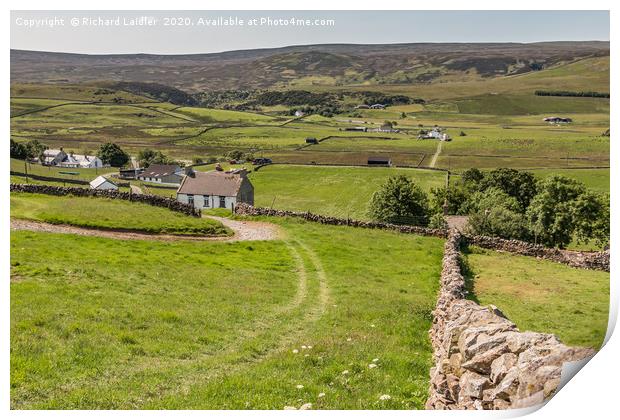 Down into Forest in Teesdale Print by Richard Laidler