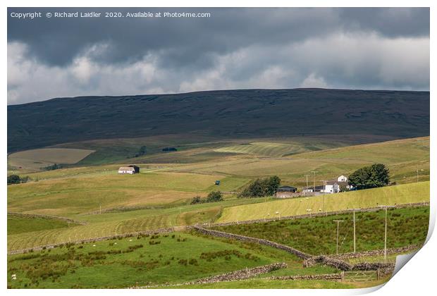 Lingy Hill Farm, Harwood, Upper Teesdale Print by Richard Laidler