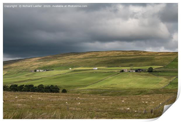 Harwood Hill Farms, Upper Teesdale Print by Richard Laidler