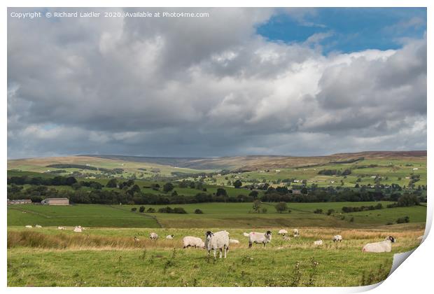 Upper Teesdale from the Kelton Road Print by Richard Laidler