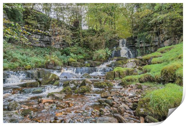 Scar House Waterfall 2 Print by Richard Laidler