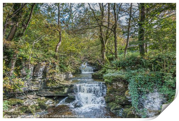 Cray Gill, Wharfedale, Yorkshire Dales Print by Richard Laidler