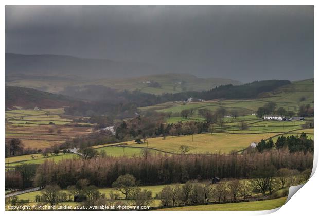 Bright and Damp Upper Teesdale 1 Print by Richard Laidler