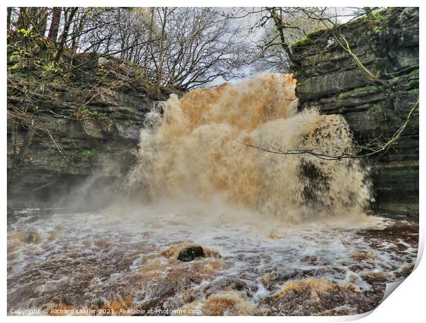 Summerhill Force Waterfall, Teesdale in Full Spate Print by Richard Laidler