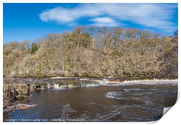 Whorlton Cascades in Early Spring Sunshine  Print by Richard Laidler