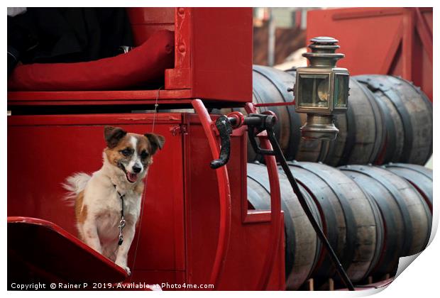 Happy dog in traditional beer truck Print by Lensw0rld 
