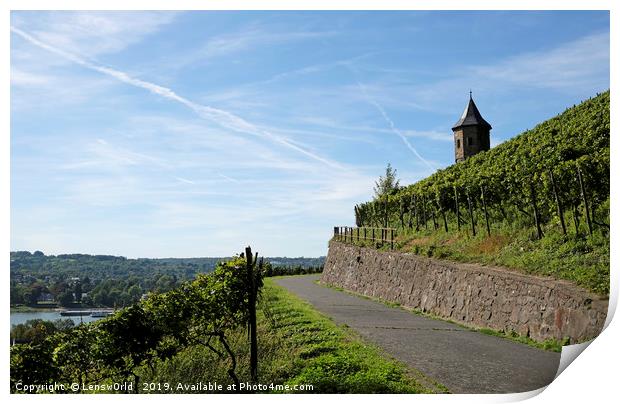 Vineyards next to the river Rhine in Germany Print by Lensw0rld 