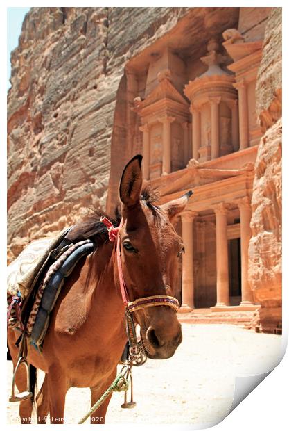 The impressive sight of the Treasury in Petra Print by Lensw0rld 