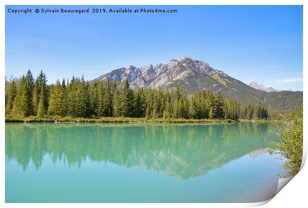 Reflection on Bow River Print by Sylvain Beauregard