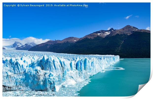 Perito Moreno and Lake Argentino Print by Sylvain Beauregard