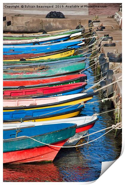 Fishing boats aligned on dock Print by Sylvain Beauregard
