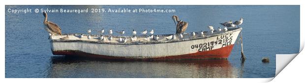 Bird taking over fisherman's boat, panorama 4:1 Print by Sylvain Beauregard