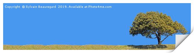 Lonely tree, panorama, right side, 4:1 Print by Sylvain Beauregard