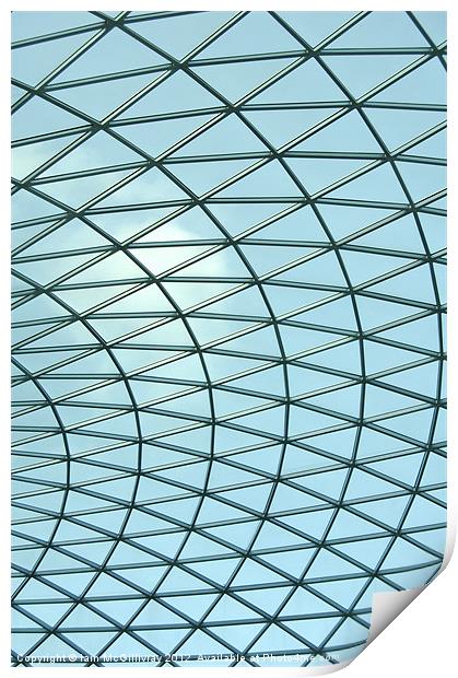 British Museum Roof Print by Iain McGillivray