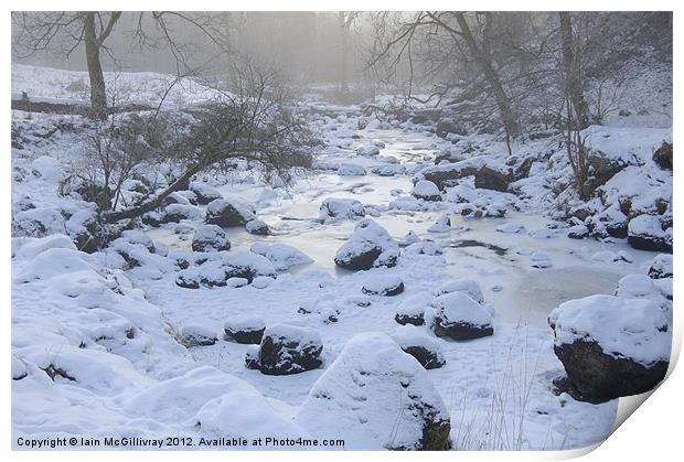 Campsie Glen Print by Iain McGillivray