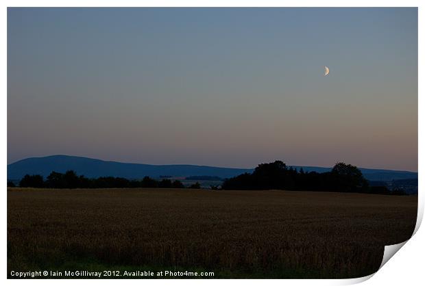 Fields at Dusk Print by Iain McGillivray