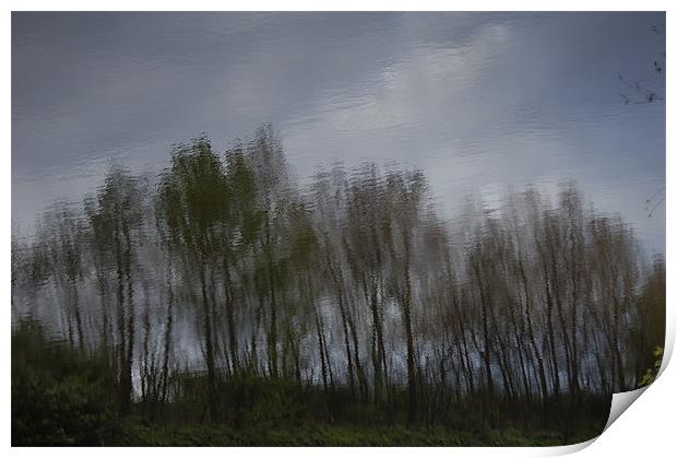Tree Reflection Art 1 Print by Iain McGillivray