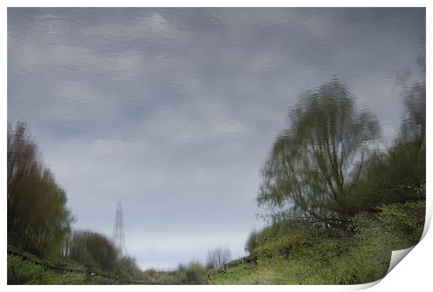 Tree Reflection Art 2 Print by Iain McGillivray