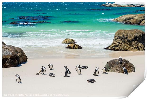 Penguins at Boulders Beach, near Cape Town Print by Justin Foulkes