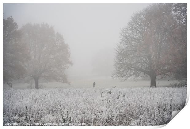 frosty morning, nonsuch park Print by mark Smith