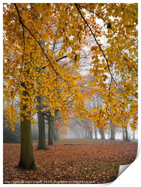 Autumn Colours In The Mist Print by mark Smith