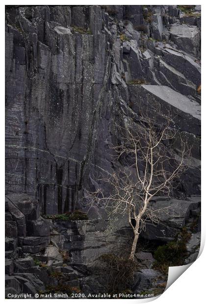 White Tree, Dinorwig Print by mark Smith