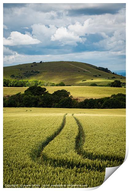 South Downs Print by mark Smith