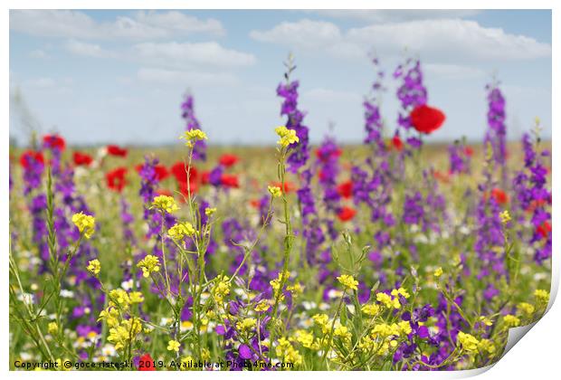 spring meadow with flowers nature scene Print by goce risteski