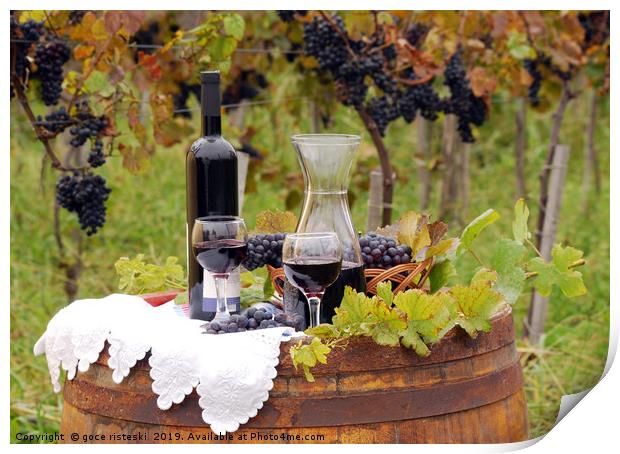 vineyard with grape and wine Print by goce risteski