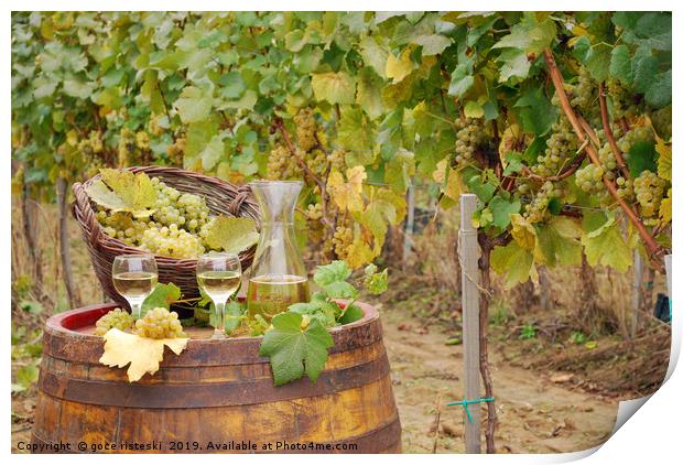 white wine and grape on barrel in vineyard Print by goce risteski