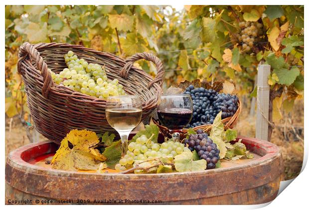 red and white wine autumn season Print by goce risteski