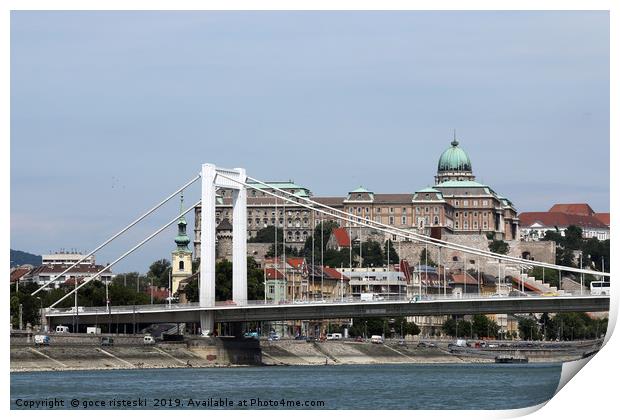 Elisabeth bridge on Danube river Budapest Print by goce risteski