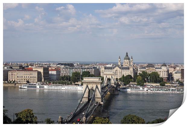 Chain bridge on Danube river Budapest cityscape Print by goce risteski