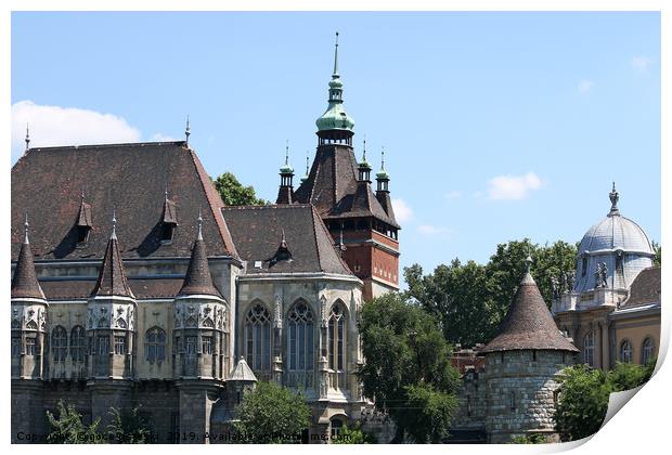 castle vajdahunyad landmark Budapest Hungary Print by goce risteski