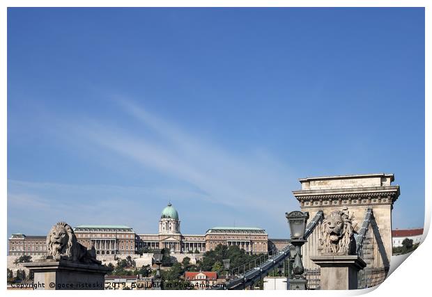 Chain bridge and royal castle Budapest Print by goce risteski