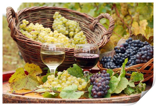 red and white wine with grape autumn season Print by goce risteski