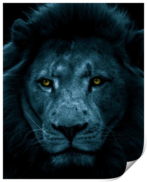 Male Lion Full Face Portrait - Toned Print by Dave Denby