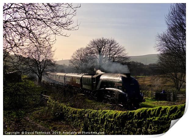 A4 60009 Union of South Africa at Horncliffe Print by David Tomlinson