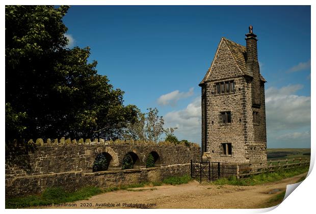 The Pigeon Tower - Rivington Lancashire  Print by David Tomlinson