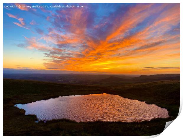 Majestic Sunset over Mermaid Pool Print by tammy mellor