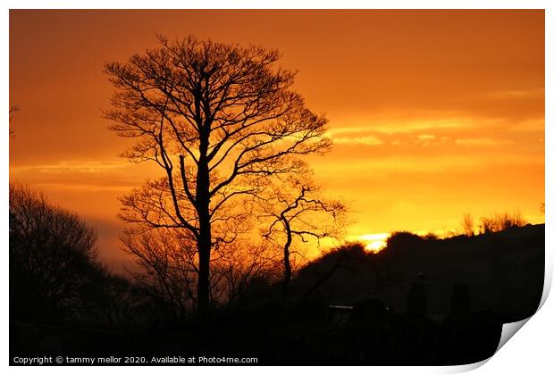 Radiant sunset tree Print by tammy mellor