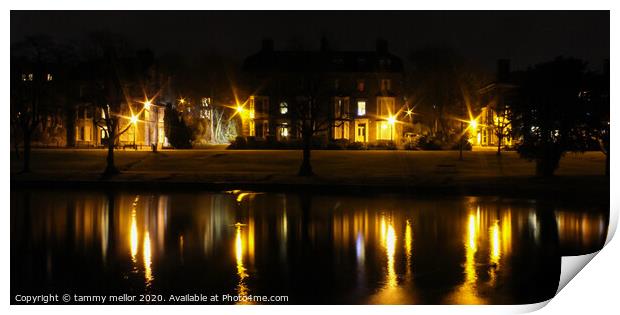 Serene Nighttime Reflection Print by tammy mellor