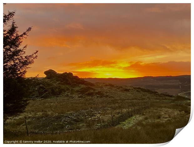 Majestic Sunset over Black Brook Print by tammy mellor
