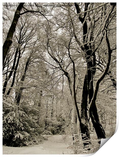 Enchanting Winter Wonderland Print by tammy mellor