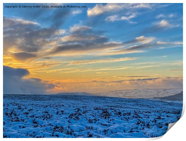 Majestic Winter Sunrise Print by tammy mellor
