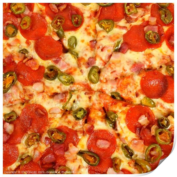 PEPPERONI PIZZA 16 Print by OTIS PORRITT