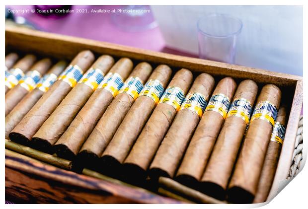 Valencia, Spain - September 8, 2021: Box of Cohiba Cuban cigars. Print by Joaquin Corbalan